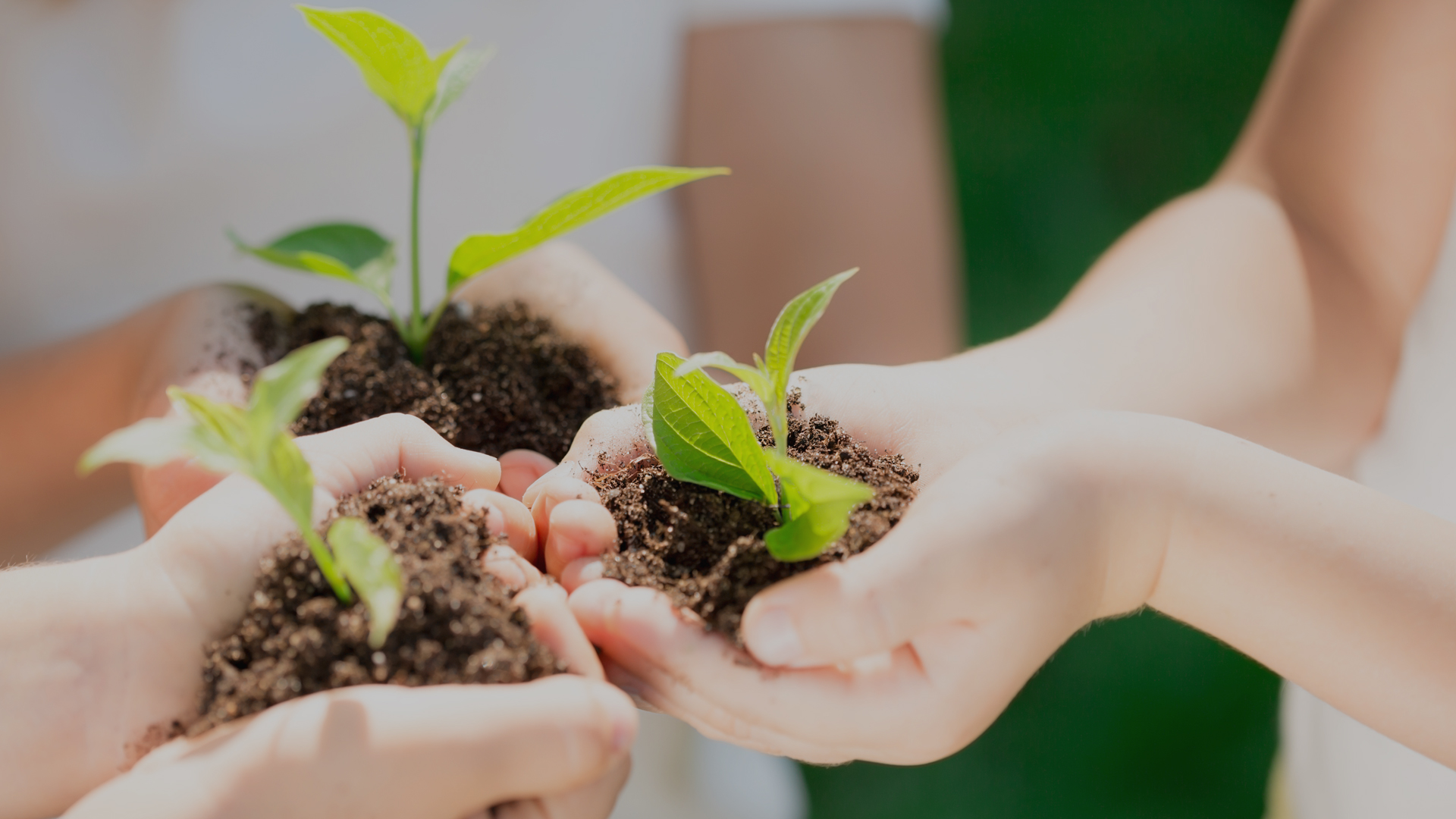 Integrated Approach to Sustainable Livelihoods