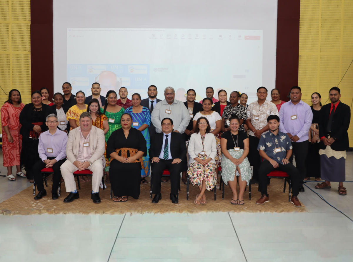 IIEC Shares Regional Cooling Experience at Pacific Network Meeting